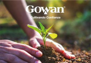 Gowan cultivando confianza Gowan cultivando confianza