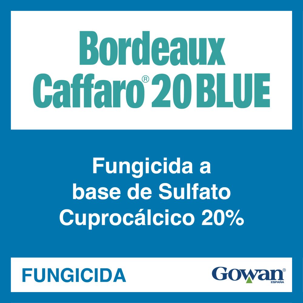 Bordeaux caffaro Bordeaux caffaro