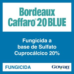 Bordeaux Caffaro 20 Blue®