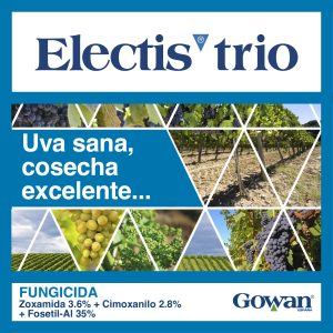 Electis® Trio