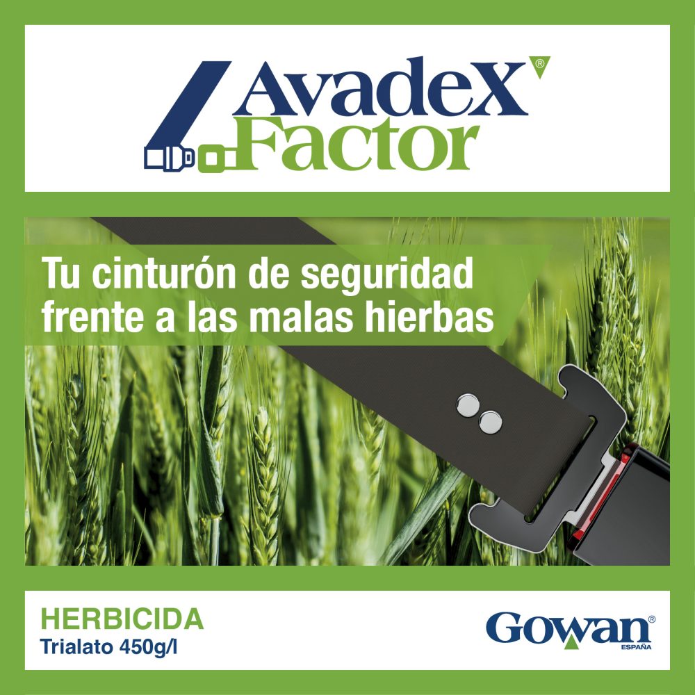 avadex factor
