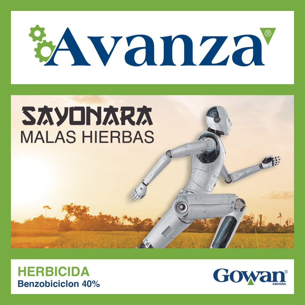 avanza