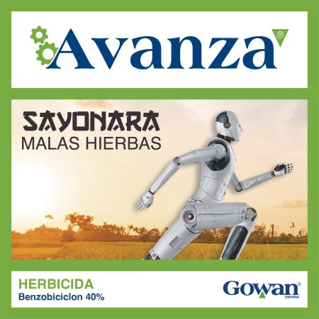 avanza