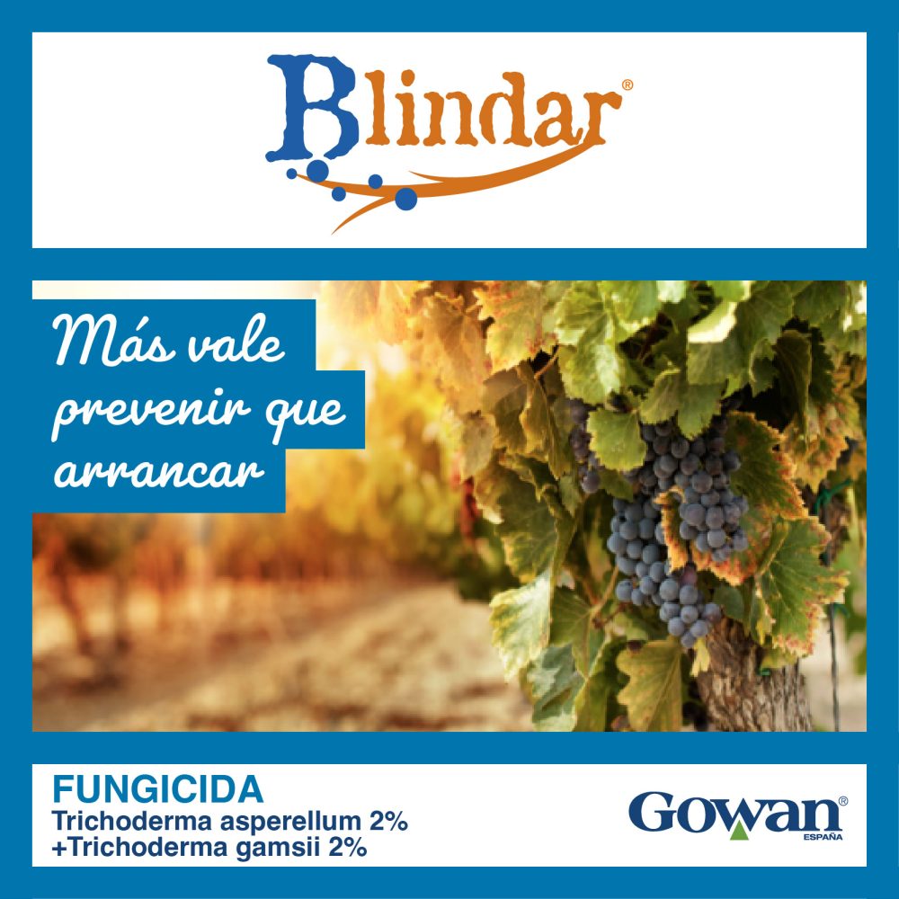 blindar
