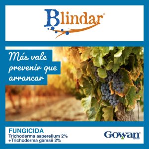 Blindar®