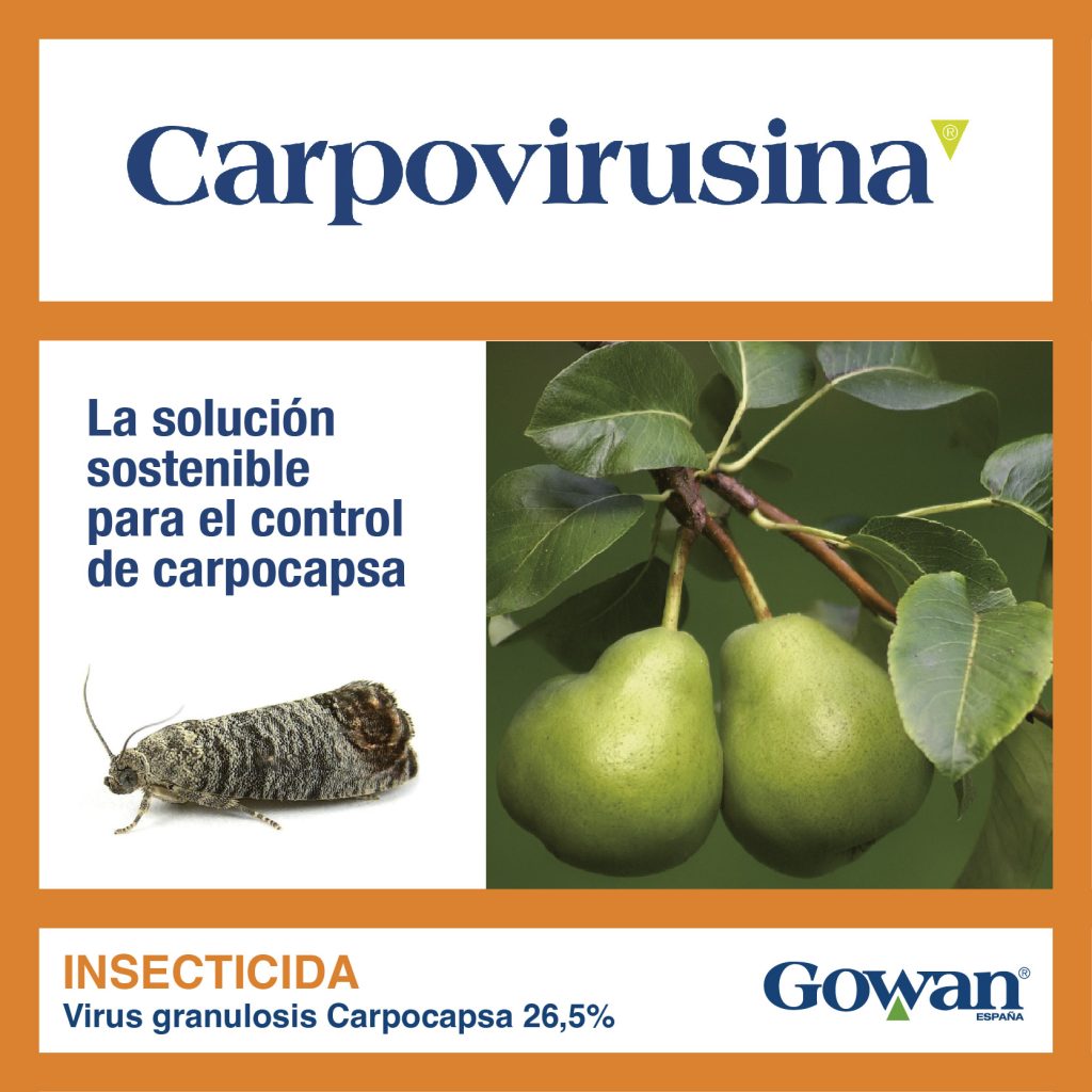 carpovirusina carpovirusina
