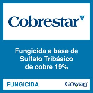 Cobrestar®