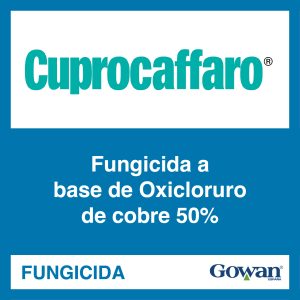 Cuprocaffaro® NC