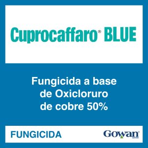 Cuprocaffaro® blue