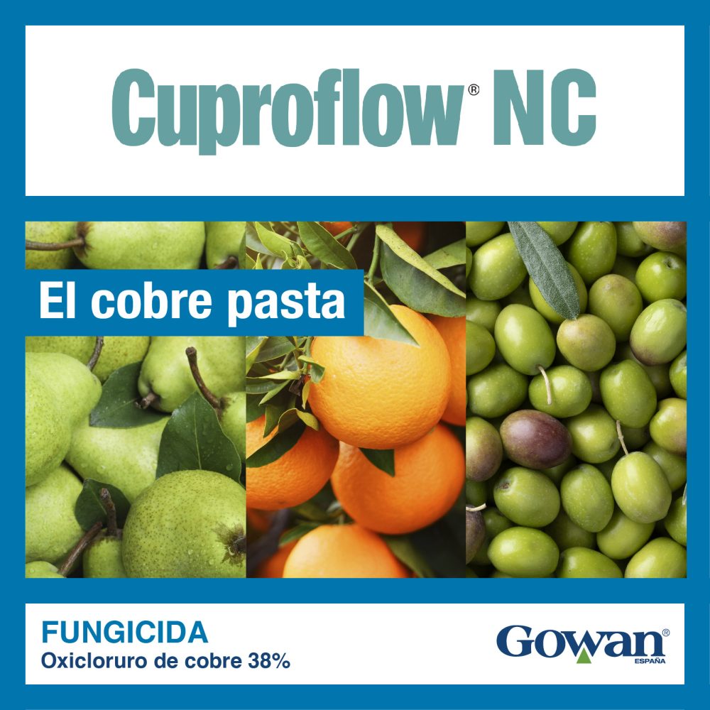cuproflow NC