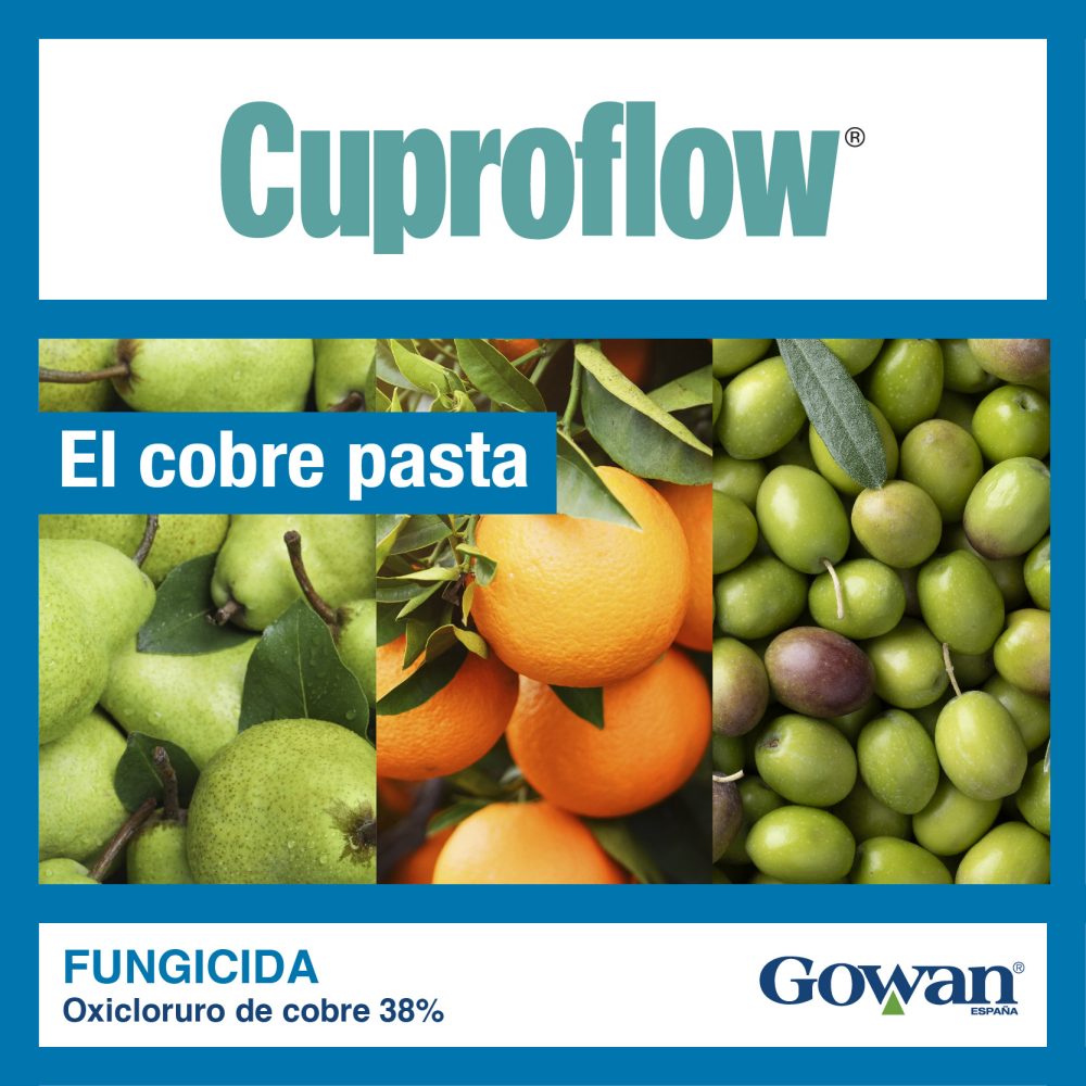 cuproflow cobre