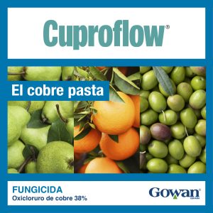 Cuproflow®