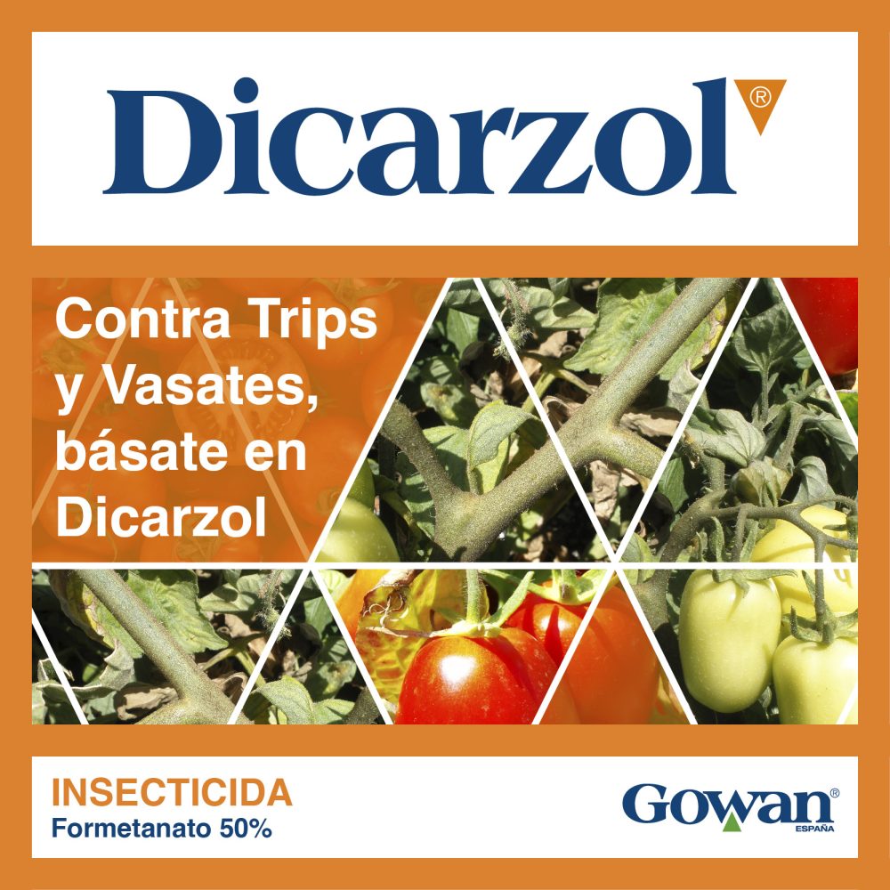 dicarzol