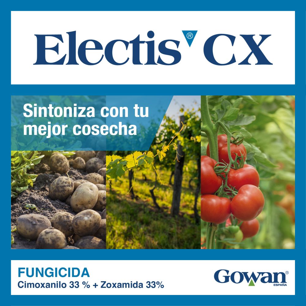 electis cx