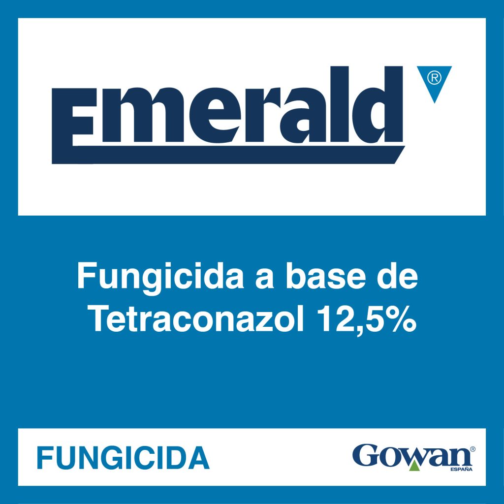 emerald emerald