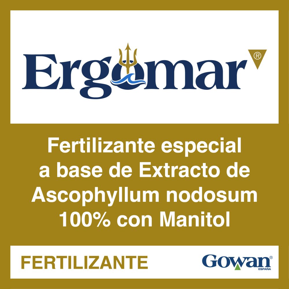 ergomar ergomar