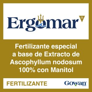 Ergomar®