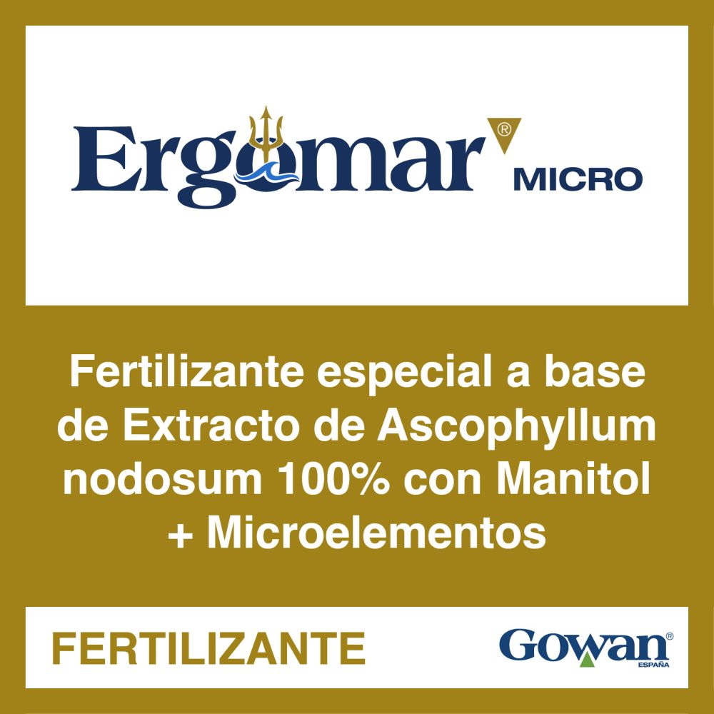 ergomar micro ergomar micro