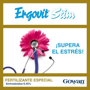 Ergovit®Stim