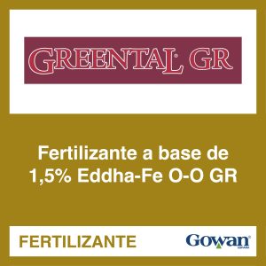 Greental® GR