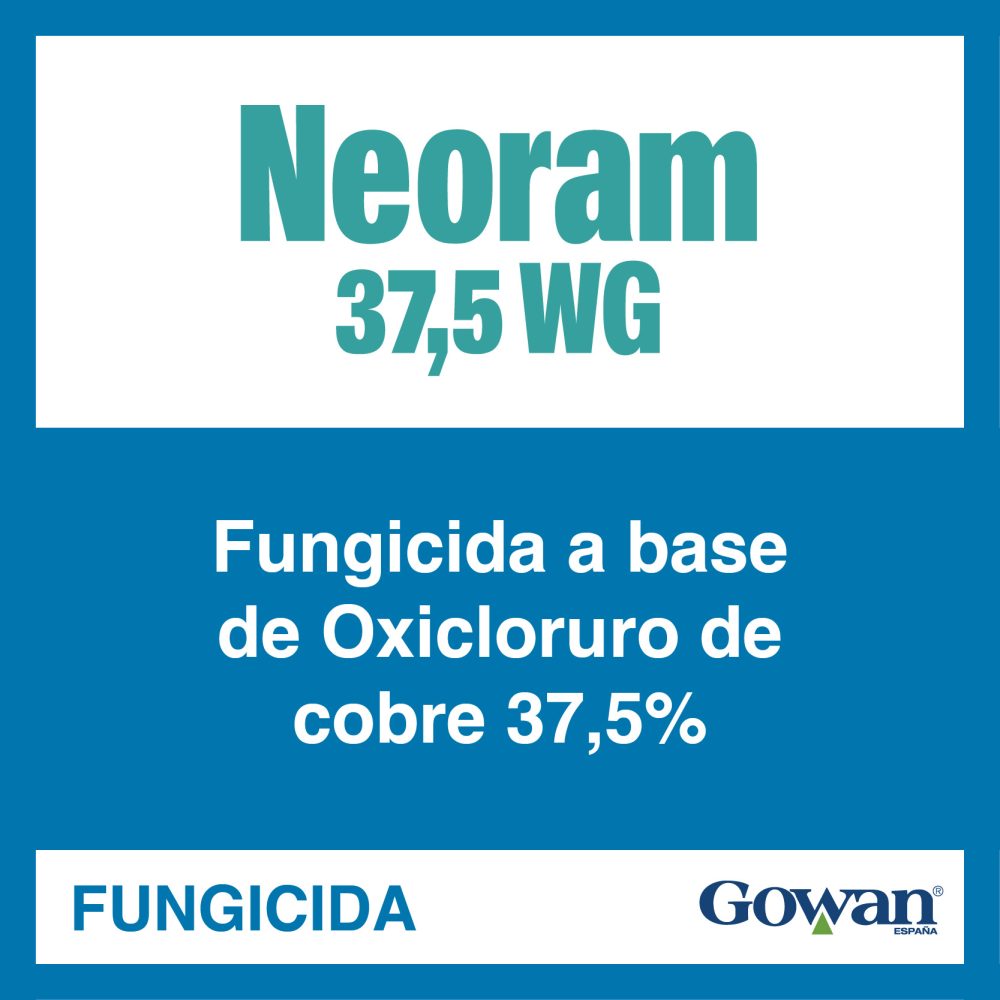 neoram