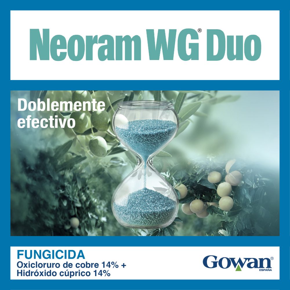 neoram wg duo