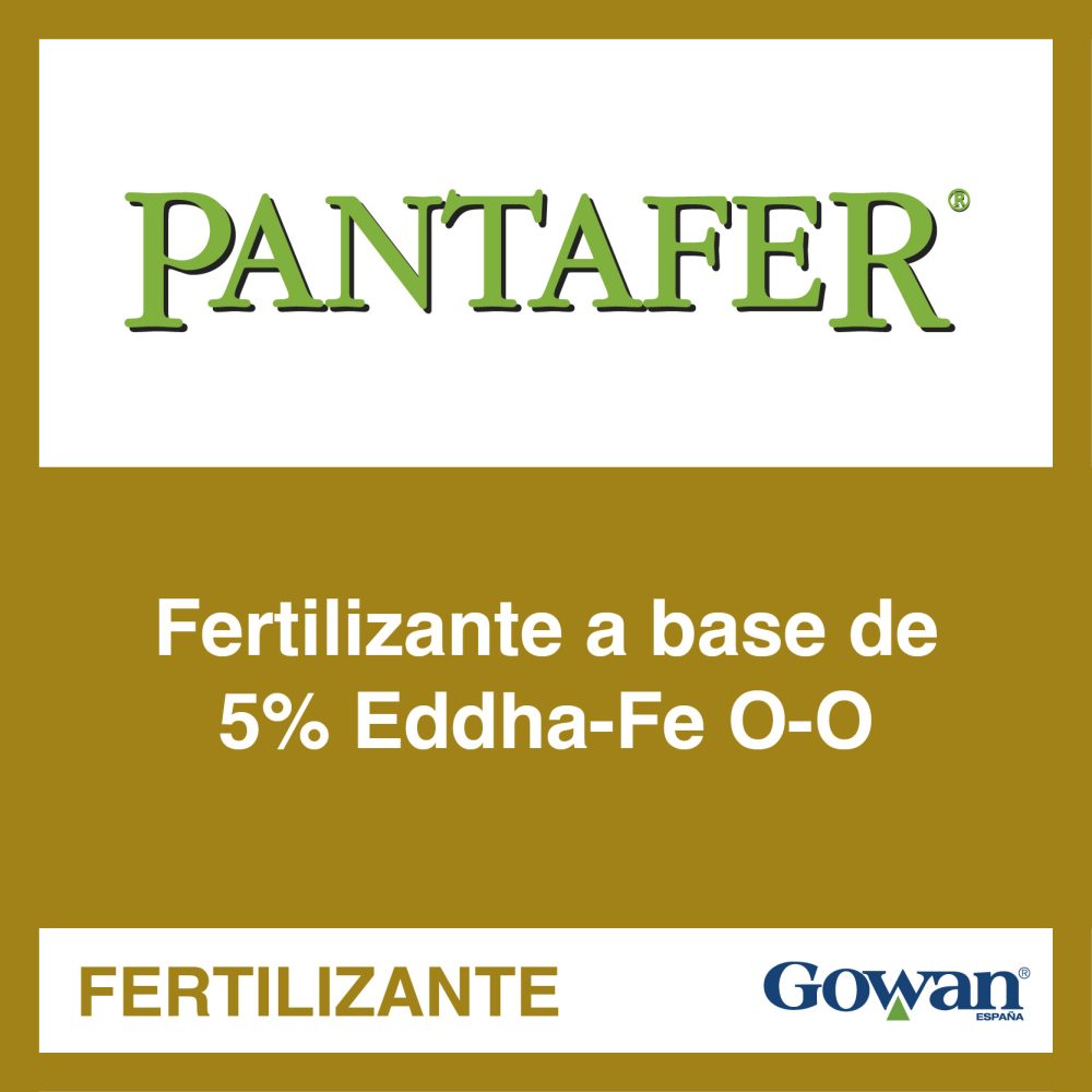 pantafer