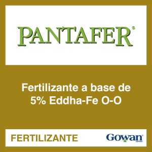 Pantafer®