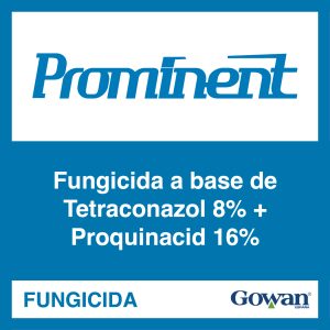 Prominent®