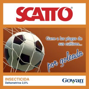 Scatto®