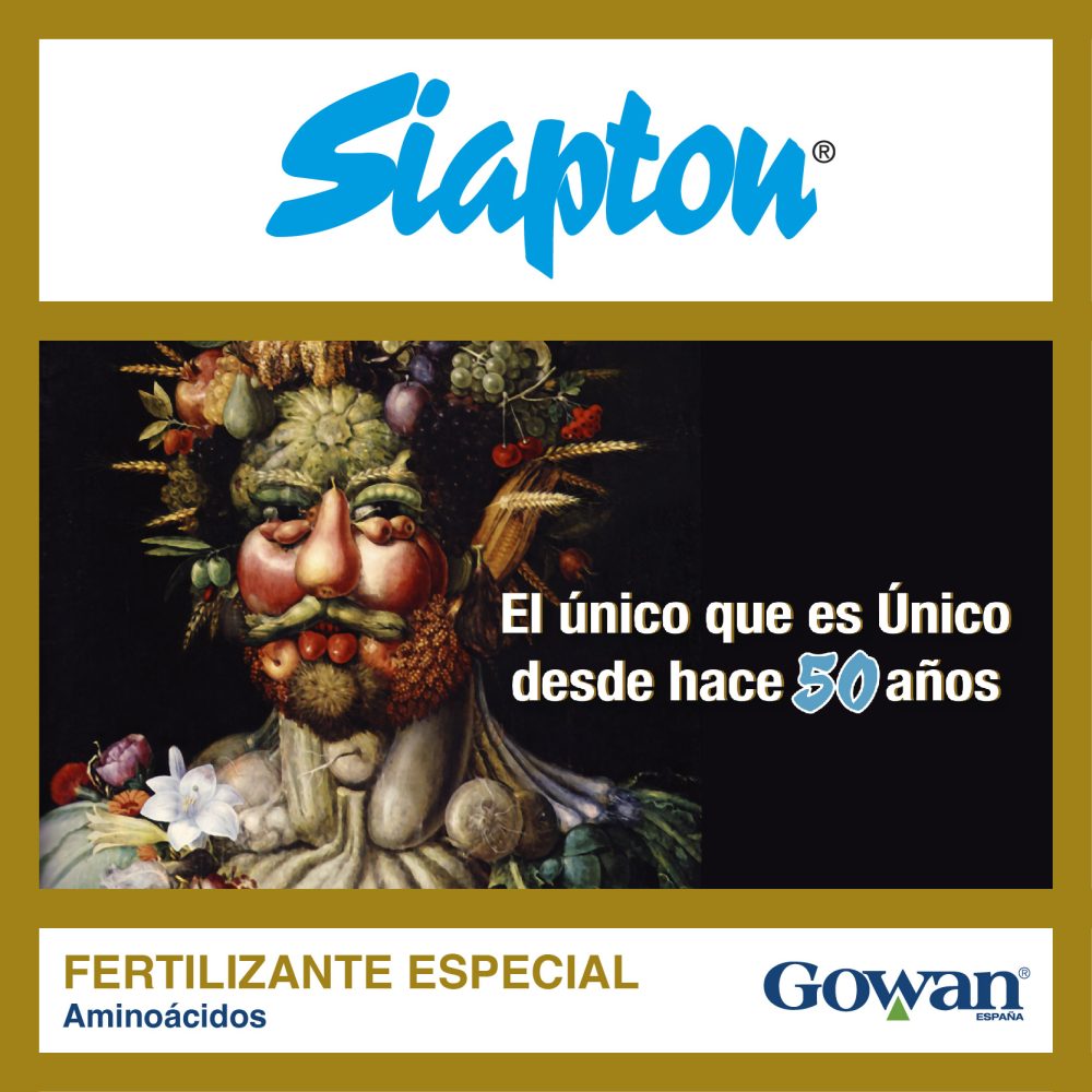 siapton