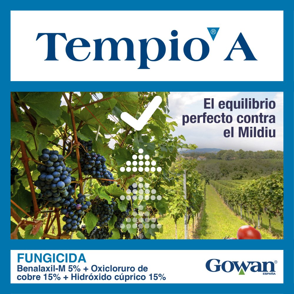 tempio A