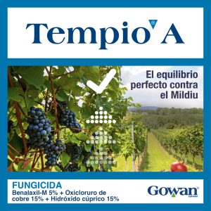 Tempio®A