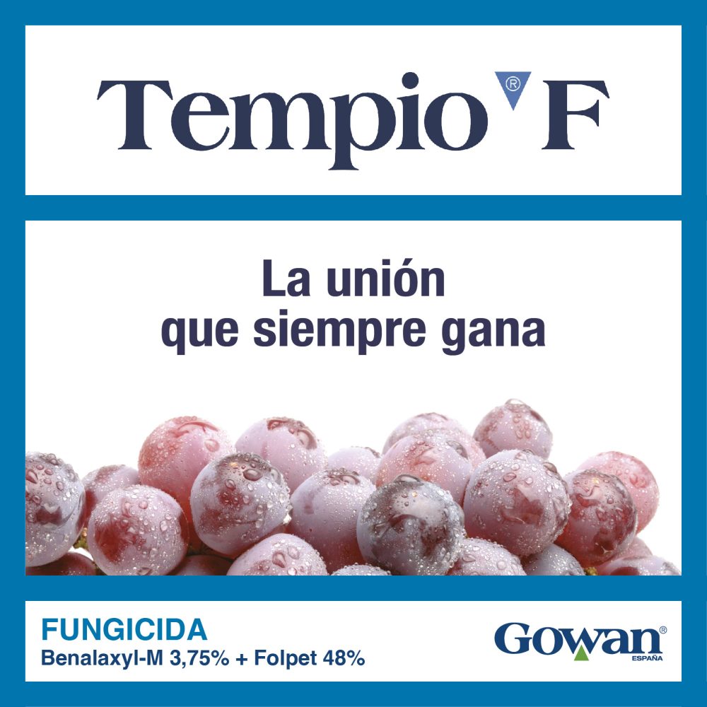 tempio f
