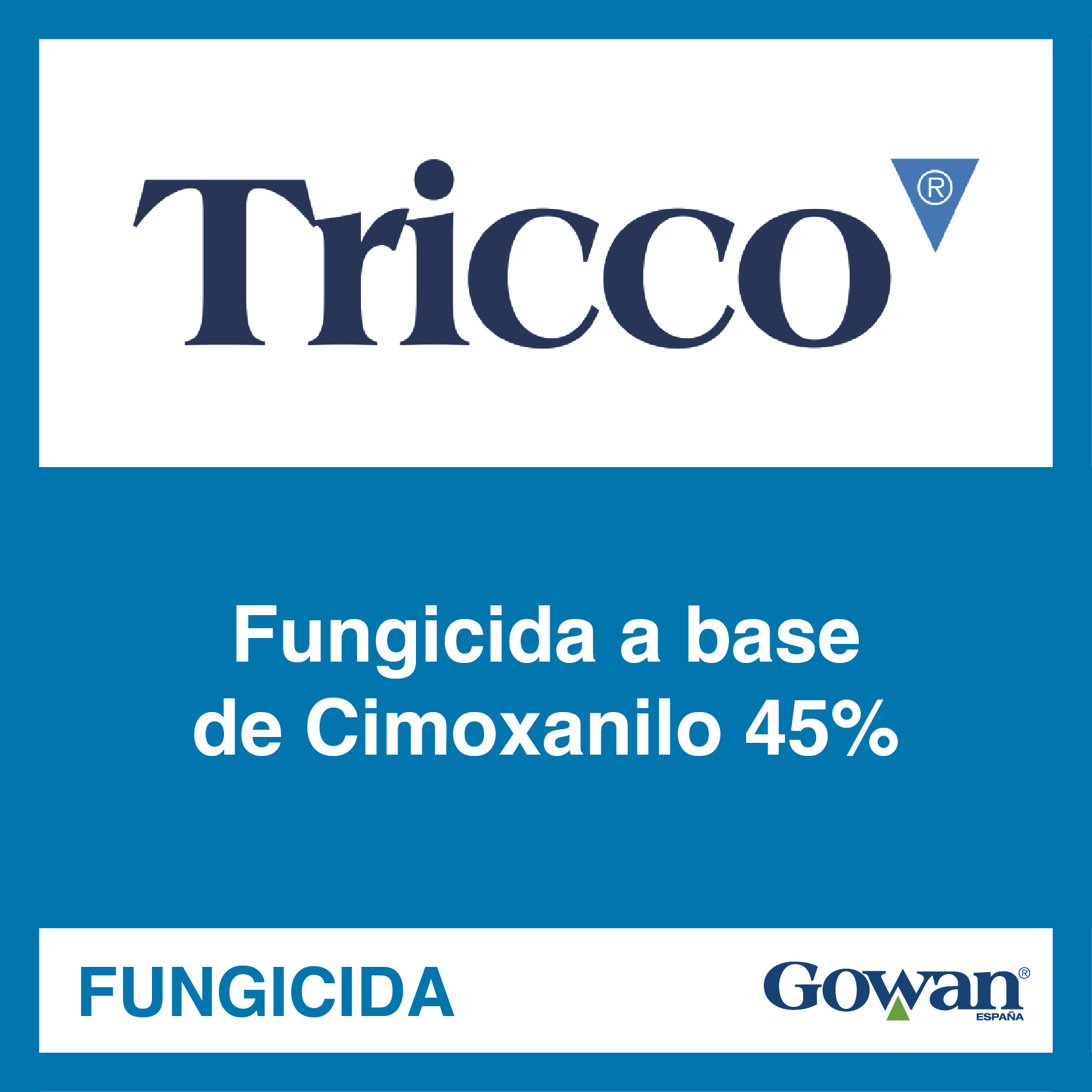 tricco