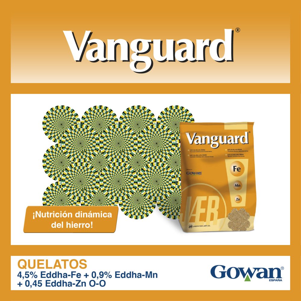 vanguard