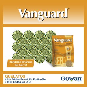 Vanguard®