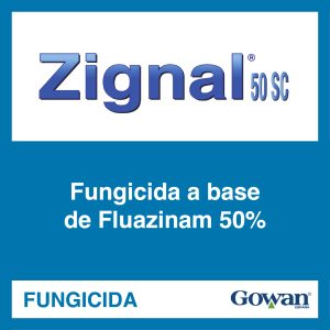 Zignal®