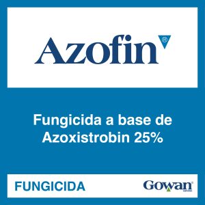 Azofin®