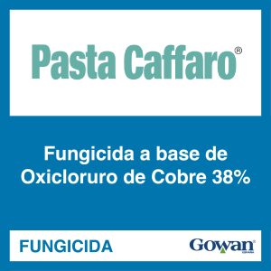 Pasta Caffaro®