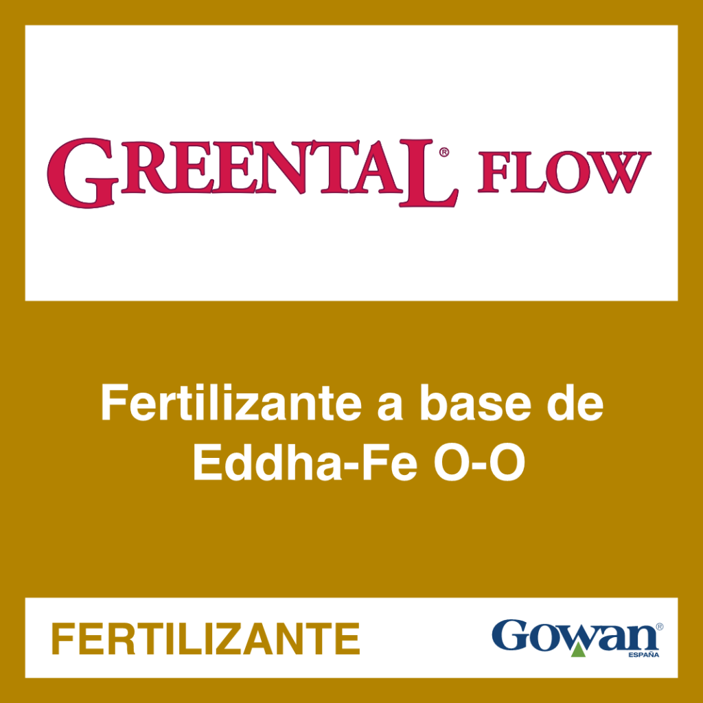 GREENTAL FLOW_1