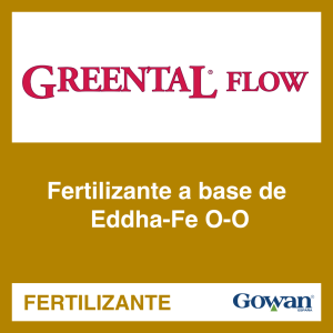 Greental Flow